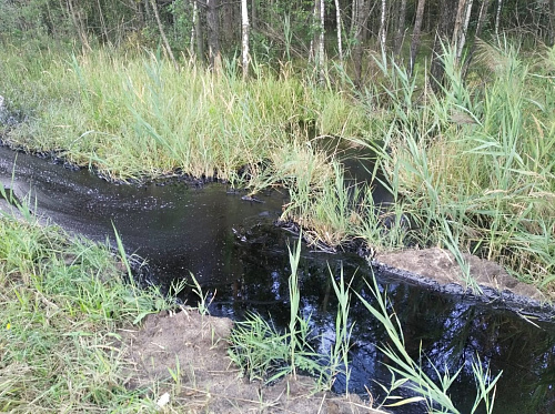 Инспекторы Росприроднадзора осмотрели место разлива битума в результате ДТП во Владимирской области